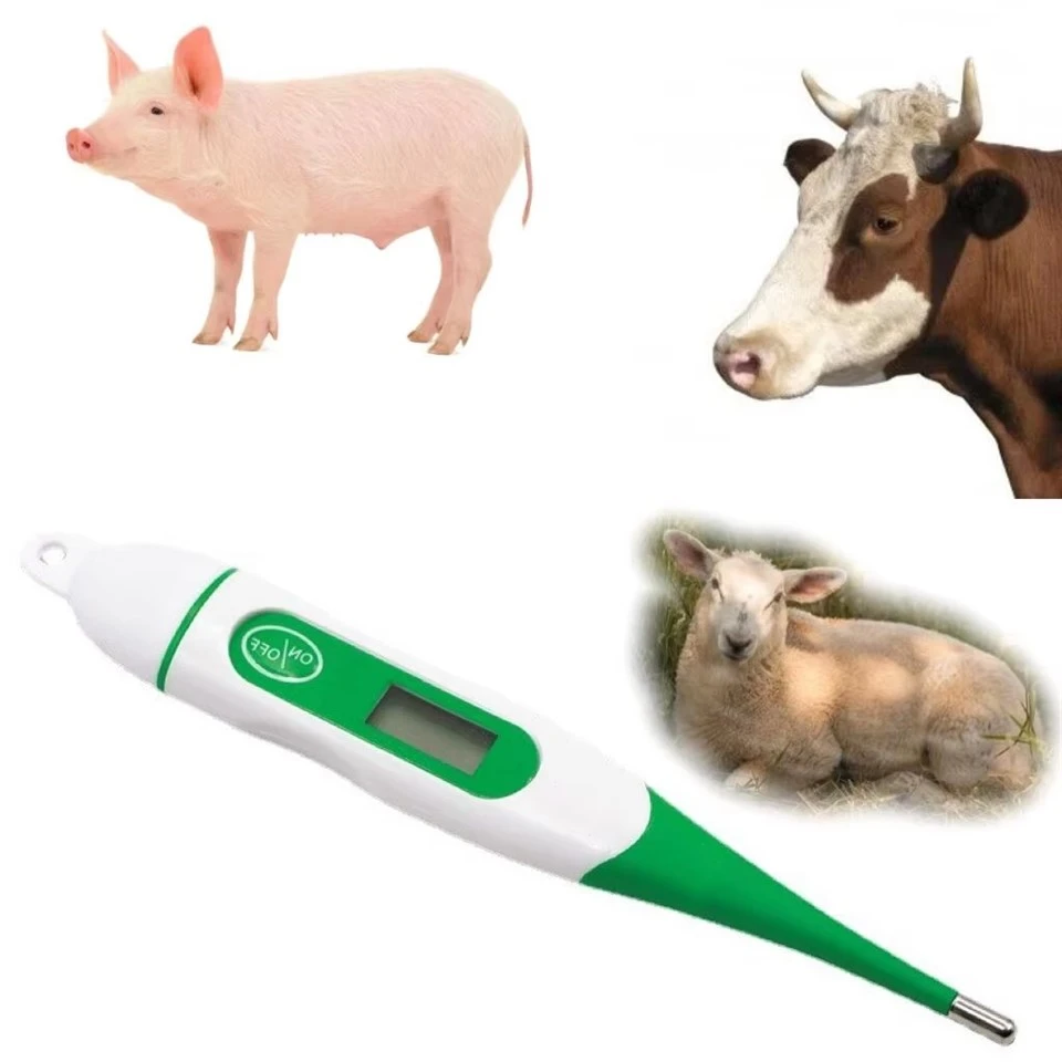 Poultry Farm Thermometer best
